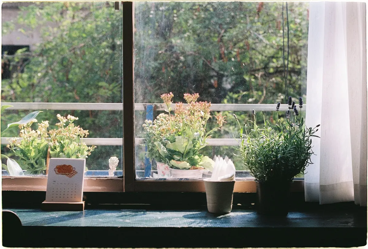 A 10-Minute Fable-Based Mindfulness Practice for Busy Mornings